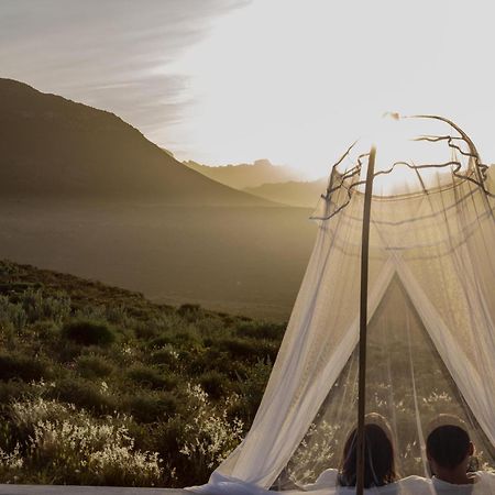 Simbavati Cederberg Ridge Clanwilliam Exterior foto