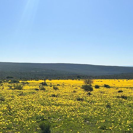 Simbavati Cederberg Ridge Clanwilliam Exterior foto